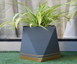 Planters Product range