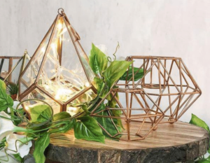 Planters Product range